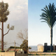 Illustration for article titled These Trees Are Hiding Something